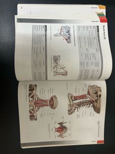 Atlas Of Anatomy