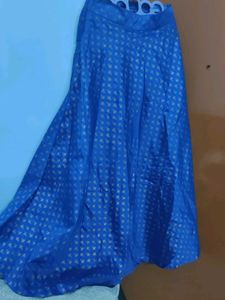 Elegant Blue Ethnic Skirt With Packet