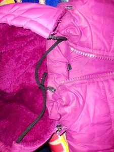 Majanta Colour Puffy Jacket 🧥 For Girls