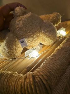 Vintage Teddy Bear