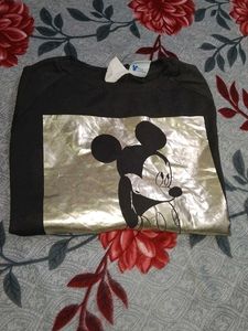 ZARA T- Shirt  (Top)