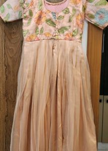 Organza Net Ethnic Long Dress