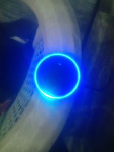 Amazon Echo Dot
