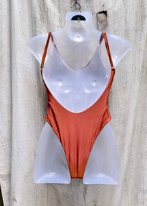 Orangish Brown One Piece Swimsuit