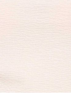 One Shoulder Ruffle DetailTextured Short Top