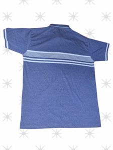 Striped Polo Shirt - Blue