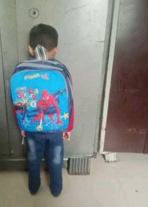 Spiderman Printed School Bag
