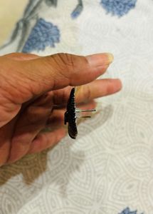 Peacock Design Earrings