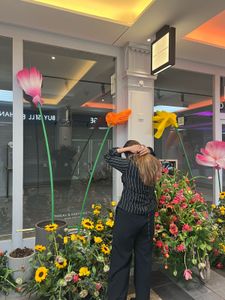 Striped Black &amp; White Blouse