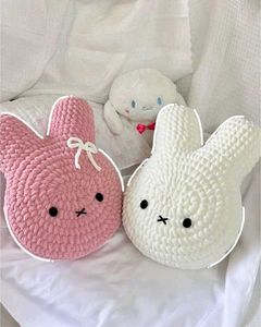 Customize Your Pillow Cover