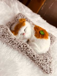 Cute Kitty Toy