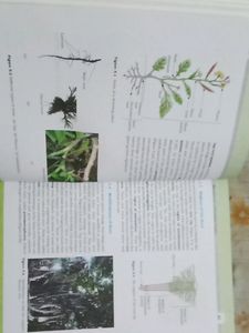 Biology class 11 NCERT