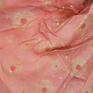 Festive Wear Lehenga