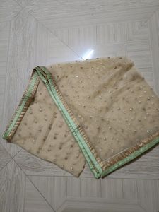 Pista Green &amp; Golden Net Gown (New)