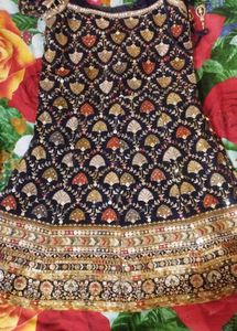 Elegant Embroidered Ethnic Dress