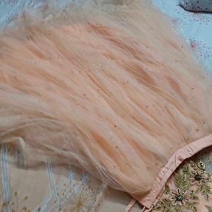 Peach &amp; Gold Embroidered Dress