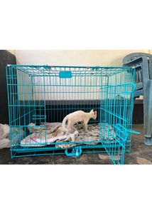 Animal Cage