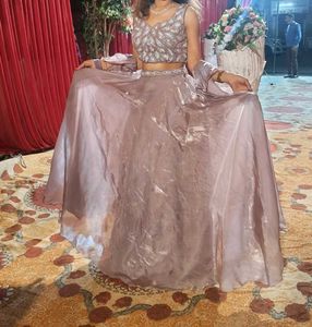 Embroidered Lehenga Choli