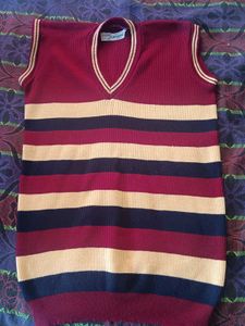 Striped Sleeveless Sweater Vest