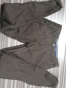 Used Dark Brown Pant