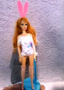 Cute Bunny costume set for Barbie doll