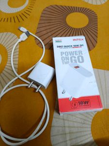 Intex 18W Charger With Adapter And Cable Type C
