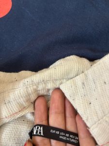 zara beinge dress