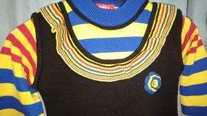 Beautiful Women Woolen Sweater In Multicolour