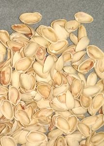 Empty Pistachio Shells