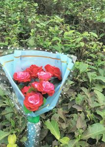 Beautyfull Folowars Bouquet 💐