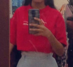 Red Fancy Crop Top