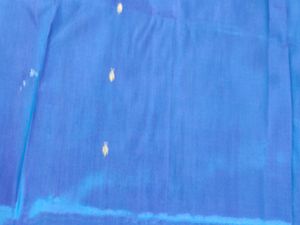 Dual Shade Pure Apoorva Pattu Silk Saree