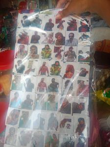 Pushpa Stickers