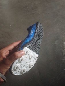 Blue Sports Shoes