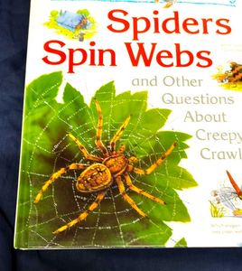 Spiders Spin Webs/ I Wonder Why Children Book