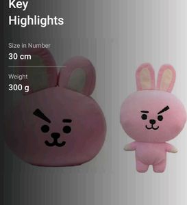 bts Plushies