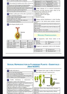 NEETPREP Mcqs Sheets For Neet