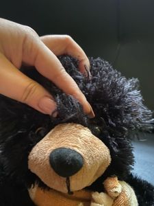 Black Teddy with muffler