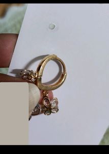 ₹250/- Earrings