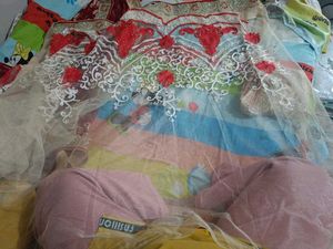 Elegant Embroidery Saree with Blouse