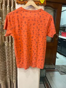 Combo Of 2 T Shirt And Shorts