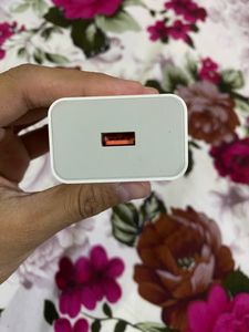 33W Adapter