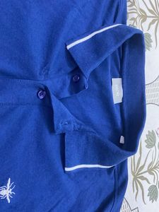Blue Polo Shirt Exclusive!!