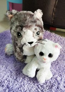 Combo Of IKEA Soft Cat And Kitten