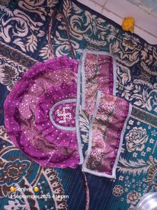 Purple Kalash Saree