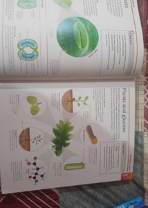 Combo books for exam preparation