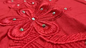 🆕 Embroidery Red Top with Ruffled Sleeves