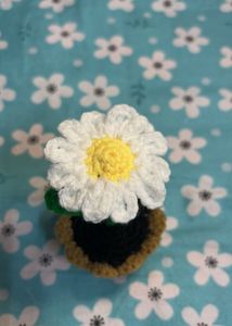 Crochet Flower With Pot