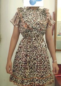 Vintage Animal Print Dress