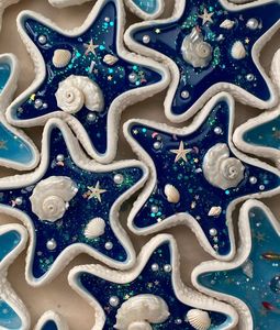 Starfish Today Sale🥳